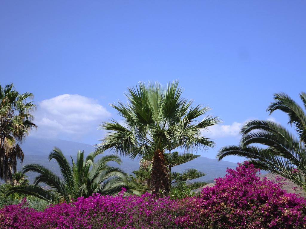 Ciuscia Bed & Breakfast Calatabiano Dış mekan fotoğraf
